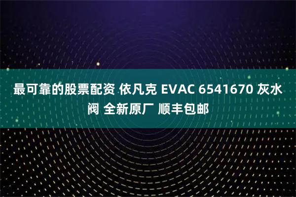 最可靠的股票配资 依凡克 EVAC 6541670 灰水阀 全新原厂 顺丰包邮