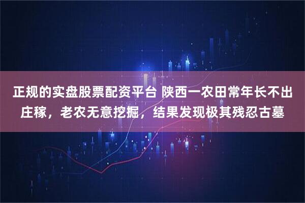 正规的实盘股票配资平台 陕西一农田常年长不出庄稼，老农无意挖掘，结果发现极其残忍古墓