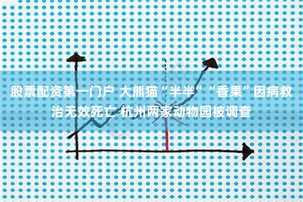 股票配资第一门户 大熊猫“半半”“香果”因病救治无效死亡 杭州两家动物园被调查