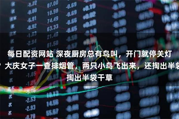 每日配资网站 深夜厨房总有鸟叫，开门就停关灯又响？大庆女子一查排烟管，两只小鸟飞出来，还掏出半袋干草